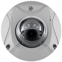 Video Surveillance Systems